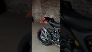 2023 Ducati Monster 937  Termignoni race exhaust [upl. by Macri779]