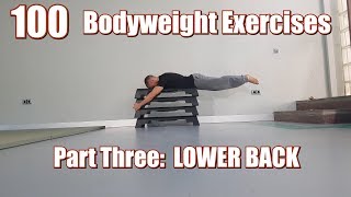 100 BODYWEIGHT EXERCISES NO GYM REQUIRED  LOWER BACK [upl. by Eva506]