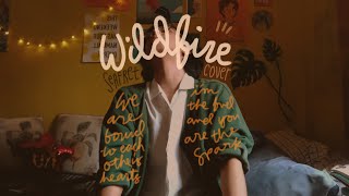 Wildfire by Seafret  A Cozy Cover [upl. by Rybma]