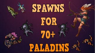 Tibia Where to hunt RP  SPAWNS FOR 70 PALADINS [upl. by Cummings]