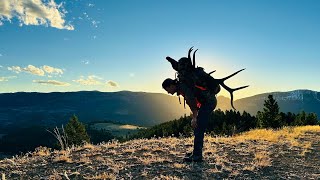 2024 Montana Elk 8 Miles In the Backcountry [upl. by Enahpad513]