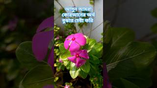 সুবহানা রাব্বিয়াল আলা এর অর্থ duet bangla follower islamicstatus bangladesh shorts [upl. by Aiynat482]