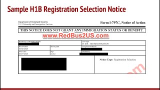 Sample H1B Registration Lottery Selection Notice from USCIS  Filing Dates Transfer Validity Info [upl. by Hymen760]