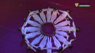 Yoga  Birdseye view Presented by Pratibhasthali Jabalpur [upl. by Nickey24]