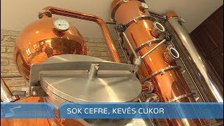 Szegedi Hírek Sok cefre kevés cukor 20171005 [upl. by Lobell347]