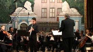 CMWeber clarinet concertino  Narek Arutyunian and Orchestra [upl. by Ecinad]