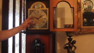 Vintage Longcase Tempus Fugit Clock with Westminster Chimes [upl. by Ferdie]