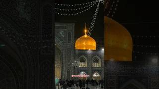 Ya Imam e Reza as Mir Hasan Mir Imam Reza Manqabat imamreza shrine mirhassanmirviralshorts2024 [upl. by Akciret]