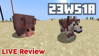 Minecraft 1205 Snapshot 23W51A  Armadillo mob amp Wolf Armor Added  New 121 Experiments [upl. by Nnairol522]