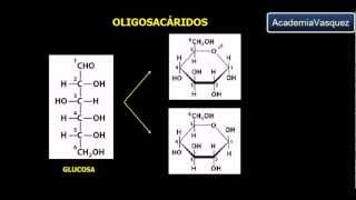 Oligosacáridos [upl. by Zandt]