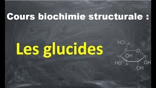 cours les glucides partie 2 [upl. by Gemina]