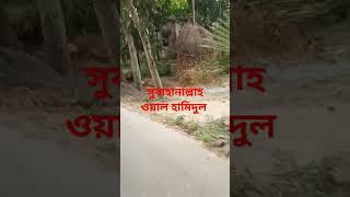 সুবাহানাল্লাহ আল্লাহ bangalivlogviralvediobangladesh [upl. by Eirrehc632]