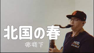 北国の春 榕樹下  次中音薩克斯風 Tenor Saxophone Covery by KT Sax [upl. by Polad657]