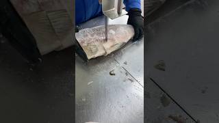 Frozen fish Cutting With machine Skillyoutubeshortstrendingtiktokshortsyoutubefypvairal1kuk [upl. by Atinod]