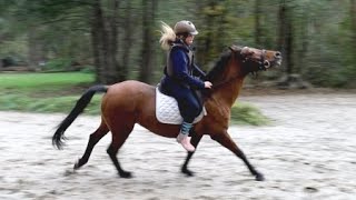 Kinderpony Arielle wieder reitbar Teil 2 vom Fall Arielle auf Hof Eicheneck [upl. by Tezil]