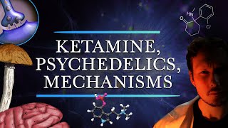 Ketamine amp Psychedelics  Do They Share Therapeutic Mechanisms [upl. by Fasto]