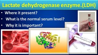 Lactate Dehydrogenase biochemistry LDHmedilabacademyCBC [upl. by Atinreb]