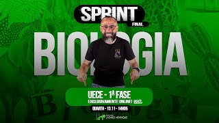 SPRINT FINAL  REVISÃO UECE  1ª FASE [upl. by Aicnom719]