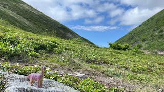 Marston Muktuk Memorial Trail [upl. by Leede]