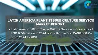 Plant Tissue Culture Service Market Report 2024  Forecast Market Size amp Growth [upl. by Arnelle]