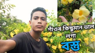 গাঁওৰ কিছুমান ভাল লগা ফুল Assamese new video Assamese vlog [upl. by Grobe]