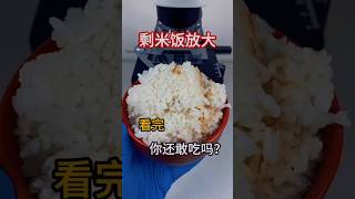 kooked rice test in microscopeshortsfeed science shorts chinesfood123 [upl. by Ahsieker]