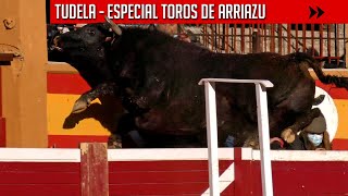 ESPECTACULARES TOROS DE ARRIAZU SALTANDO LA BARRERA y ACERCÁNDOSE A LA GRADA  TUDELA NAVARRA [upl. by Ybeloc]