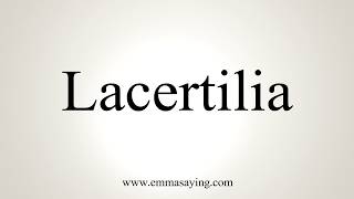 How To Pronounce Lacertilia [upl. by Dlanod104]