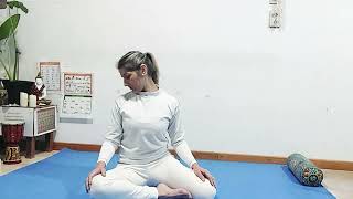 Clase de Yogaterapia y Yoga terapéutico [upl. by Cyb]