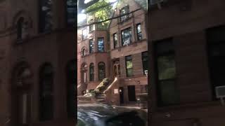 Brooklyn brownstones 👍 architecture bedstuy brooklyn brownstone nyc [upl. by Hedi861]