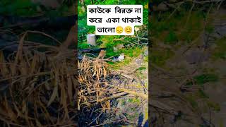 song স্রোতস্বিনী lyrics ahmedshakib slowedreverd srotoshini lofiremix [upl. by Rez88]