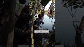 fishing dasaran shorts short shortvideo ps87adventure [upl. by Svirad]