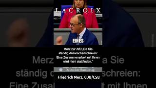 friedrichmerz merz cdu csu afd bundestag [upl. by Anaihs]