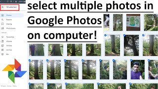 How to select multiple photos in Google Photos on computer [upl. by Schinica]