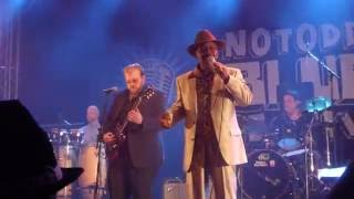 Wee Willie Walker – “Help” live at Hovigs Hangar Notodden Bluesfestival Norway [upl. by Kcirrad]