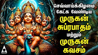 Tuesday Murugan Tamil Devotional Songs  Palani Thiruchendur Tiruthani Pazhamudircholai [upl. by Lashondra]