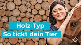 Das Holz Element in der TCVM [upl. by Rafaello]