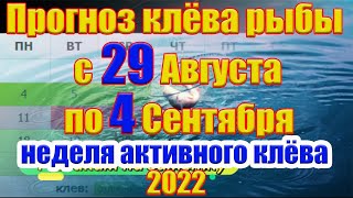 Прогноз клева рыбы на эту неделю с 29 Августа по 4 Сентября Календарь рыбака на Сентябрь 2022 [upl. by Baggett]