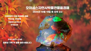 오아시스자연사박물관물품경매2024년 10월 19일토오후2시10월탄생석오팔투어멀린루비비취골동품경매opalTourmalineOctoberbirthstone [upl. by Emmott582]