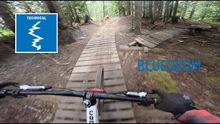 Blueseum  Whistler Bike Park Encyclopedia 2024 [upl. by Harsho]