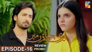 Teri chhaon Mein Episode 16 Promo amp Story Explain  Review  Danish Taimoor  Hum Tv [upl. by Chelsy]