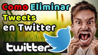 Cómo Eliminar Tweets de Twitter Rápido y Fácil 2024 [upl. by Drud413]