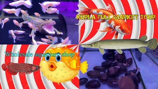 Kurlaa wholesale market  kurla aquarium market  fish aquarium  all fish category [upl. by Negam]