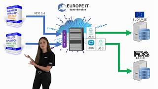 UDI data transfer to GUDID and EUDAMED [upl. by Nnahoj]