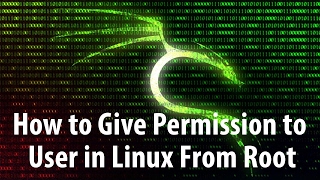 How to Give Permission to User in Linux From Root [upl. by Rausch]