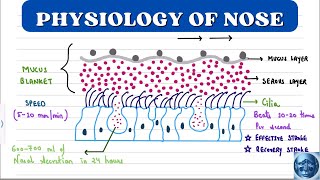 ENT 🔥 II PHYSIOLOGY OF NOSE II MUCOCILIARY MECHANISM II NASAL REFLEXES II OLFACTION II [upl. by Adnilema]