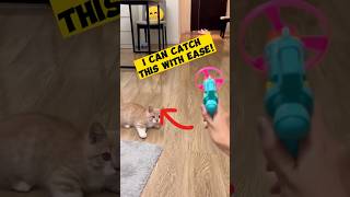 cat cute catches propeller flies funny cat shortsvideo animals [upl. by Hallock]