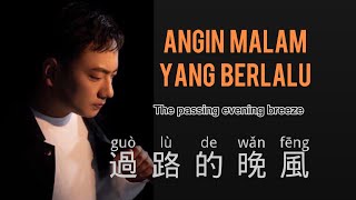 過路的晚風海來阿木  Guo Lu De Wan Feng  Hai Lai A Mu  Chinese Song  Pinyin  Mandarin Song [upl. by Fawn]