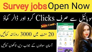 Survey Apps To Make Money  Online Survey Jobs In Pakistan [upl. by Meli368]