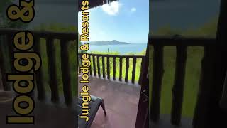 Jungle lodge travel youtubeshorts [upl. by Arondell]